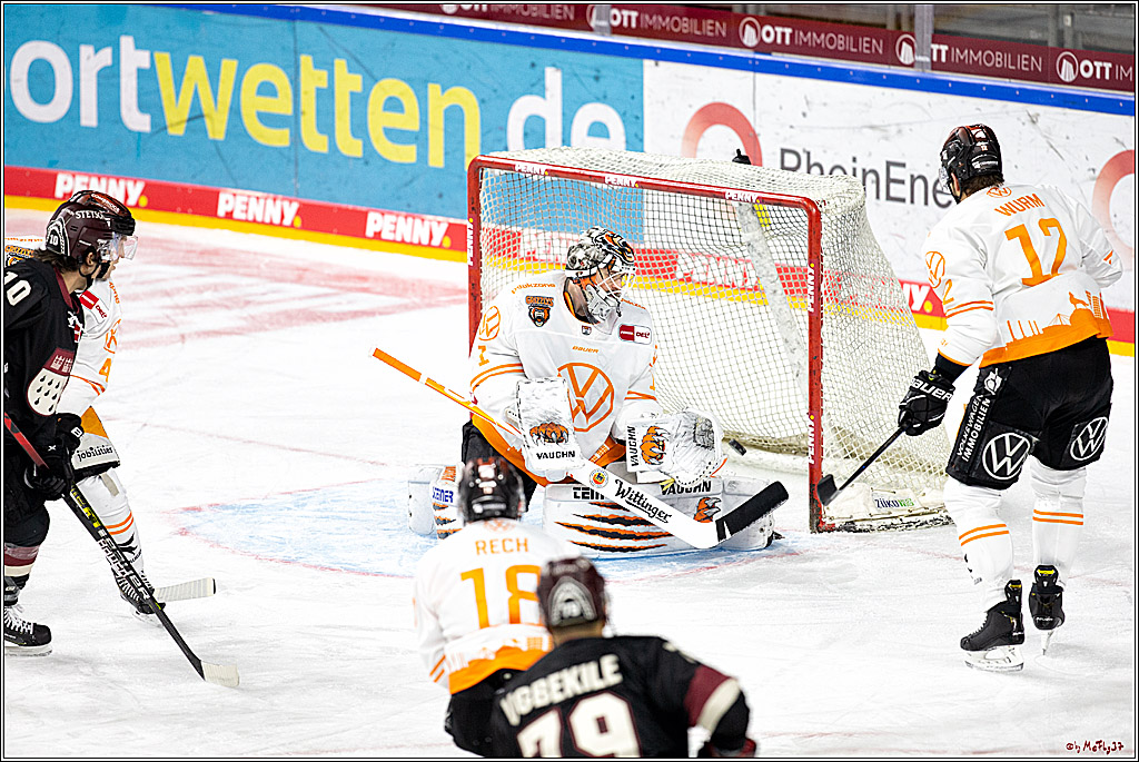 PENNY DEL;  Koelner Haie - Grizzlys Wolfsburg; Koeln, 29.01.2021